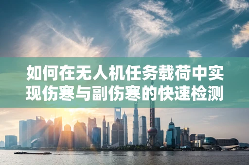 如何在无人机任务载荷中实现伤寒与副伤寒的快速检测？
