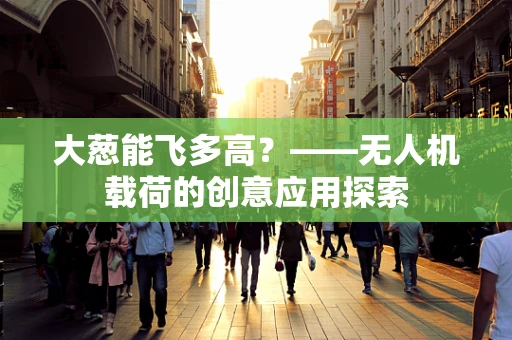 大葱能飞多高？——无人机载荷的创意应用探索