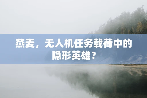燕麦，无人机任务载荷中的隐形英雄？