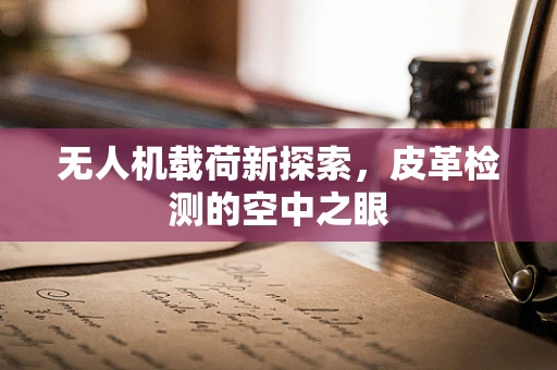无人机载荷新探索，皮革检测的空中之眼