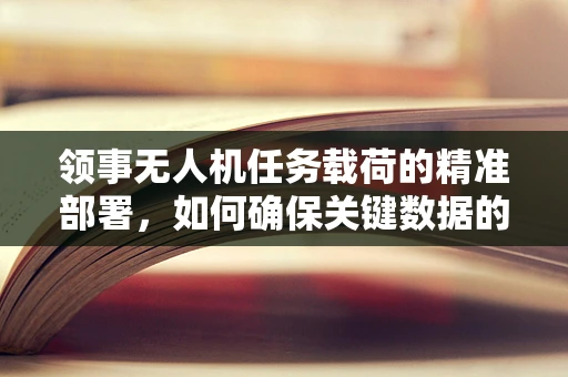 领事无人机任务载荷的精准部署，如何确保关键数据的无差错传输？
