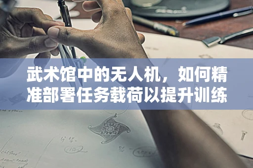 武术馆中的无人机，如何精准部署任务载荷以提升训练效率？