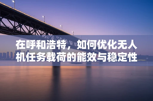 在呼和浩特，如何优化无人机任务载荷的能效与稳定性？