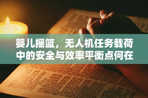 婴儿摇篮，无人机任务载荷中的安全与效率平衡点何在？