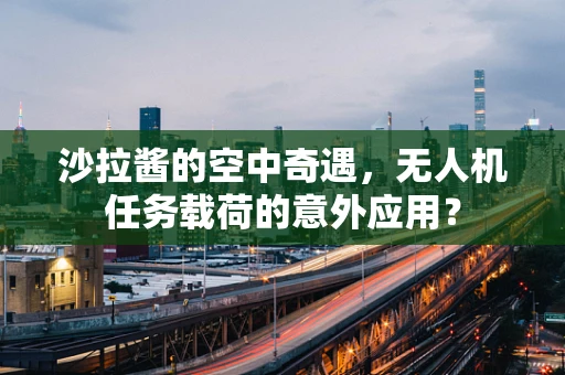 沙拉酱的空中奇遇，无人机任务载荷的意外应用？