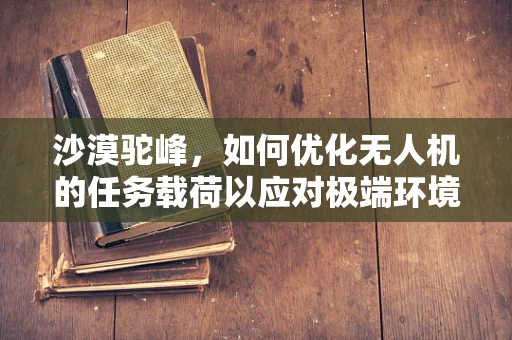 沙漠驼峰，如何优化无人机的任务载荷以应对极端环境挑战？