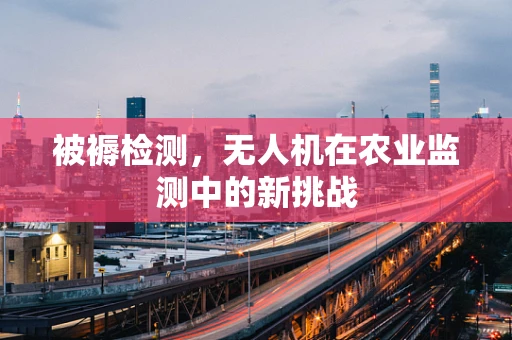 被褥检测，无人机在农业监测中的新挑战