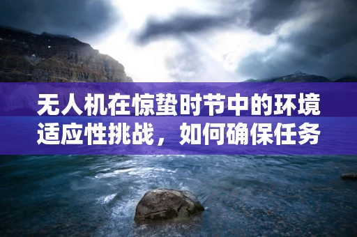无人机在惊蛰时节中的环境适应性挑战，如何确保任务载荷的稳定运行？