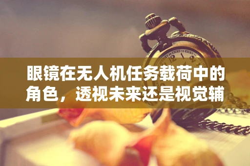 眼镜在无人机任务载荷中的角色，透视未来还是视觉辅助？