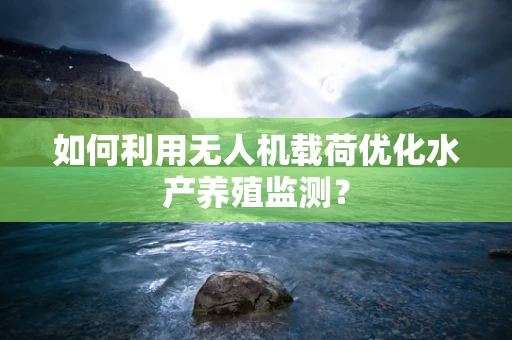 如何利用无人机载荷优化水产养殖监测？