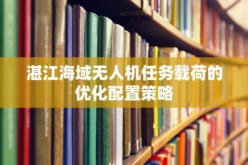 湛江海域无人机任务载荷的优化配置策略
