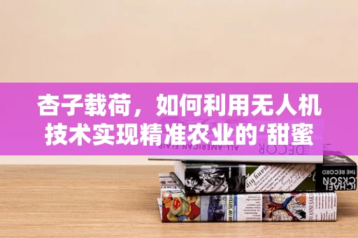 杏子载荷，如何利用无人机技术实现精准农业的‘甜蜜’收获？