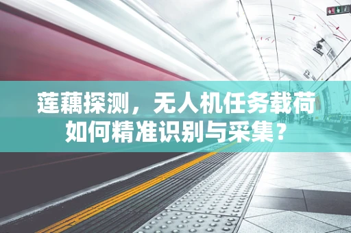 莲藕探测，无人机任务载荷如何精准识别与采集？