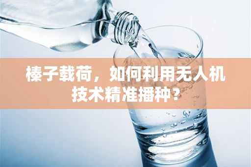 榛子载荷，如何利用无人机技术精准播种？