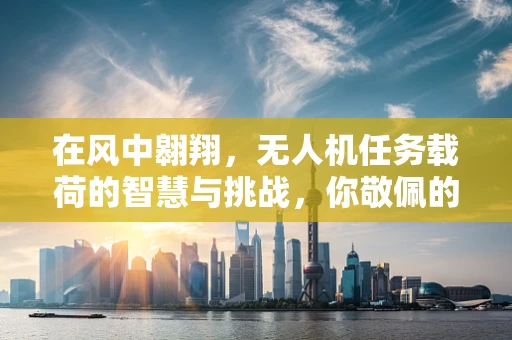 在风中翱翔，无人机任务载荷的智慧与挑战，你敬佩的不仅仅是它的飞行！