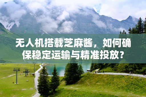 无人机搭载芝麻酱，如何确保稳定运输与精准投放？