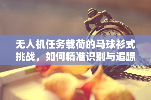 无人机任务载荷的马球衫式挑战，如何精准识别与追踪？