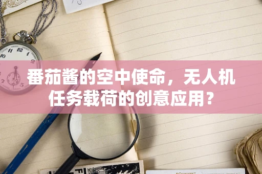 番茄酱的空中使命，无人机任务载荷的创意应用？