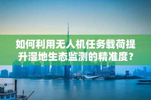 如何利用无人机任务载荷提升湿地生态监测的精准度？