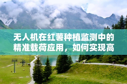 无人机在红薯种植监测中的精准载荷应用，如何实现高效与精准？