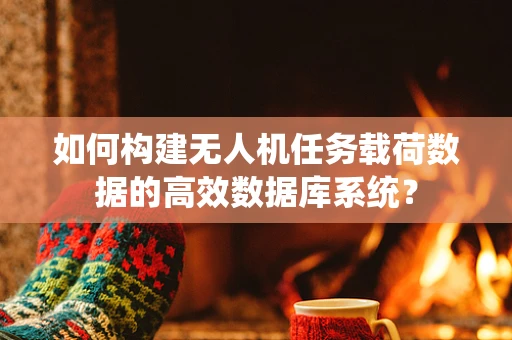 如何构建无人机任务载荷数据的高效数据库系统？