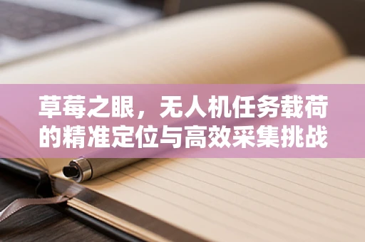 草莓之眼，无人机任务载荷的精准定位与高效采集挑战