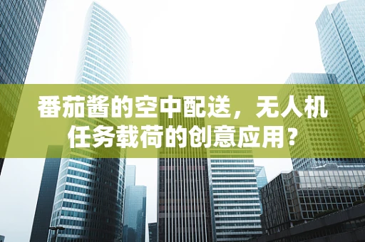 番茄酱的空中配送，无人机任务载荷的创意应用？