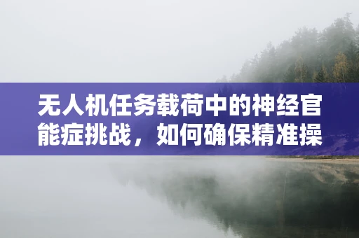 无人机任务载荷中的神经官能症挑战，如何确保精准操控与飞行员心理健康的平衡？