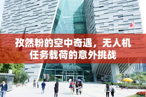 孜然粉的空中奇遇，无人机任务载荷的意外挑战