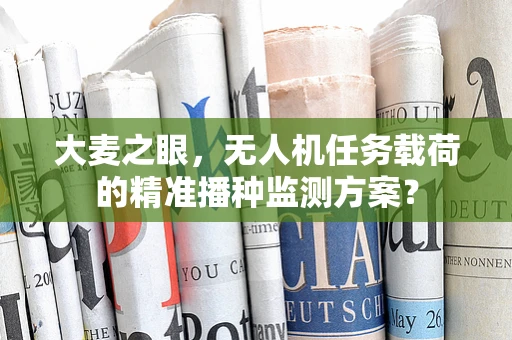大麦之眼，无人机任务载荷的精准播种监测方案？