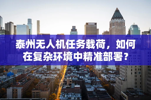 泰州无人机任务载荷，如何在复杂环境中精准部署？