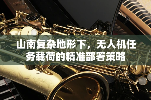 山南复杂地形下，无人机任务载荷的精准部署策略