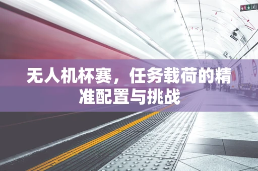 无人机杯赛，任务载荷的精准配置与挑战
