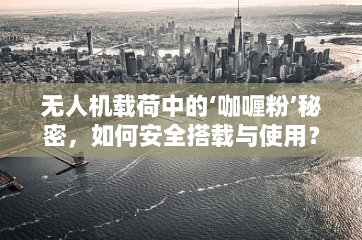 无人机载荷中的‘咖喱粉’秘密，如何安全搭载与使用？