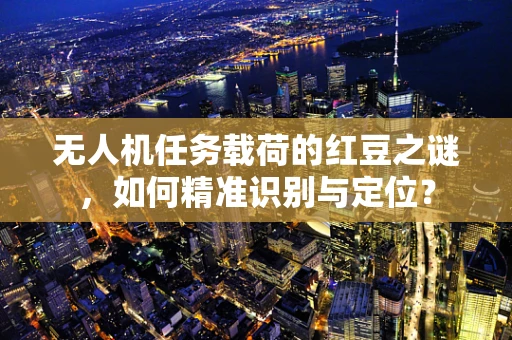 无人机任务载荷的红豆之谜，如何精准识别与定位？