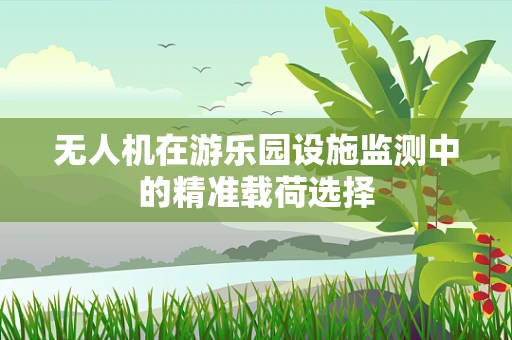 无人机在游乐园设施监测中的精准载荷选择