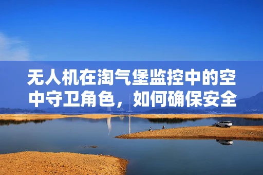 无人机在淘气堡监控中的空中守卫角色，如何确保安全与娱乐的完美平衡？