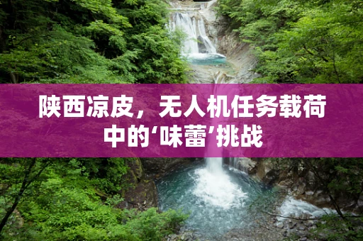 陕西凉皮，无人机任务载荷中的‘味蕾’挑战
