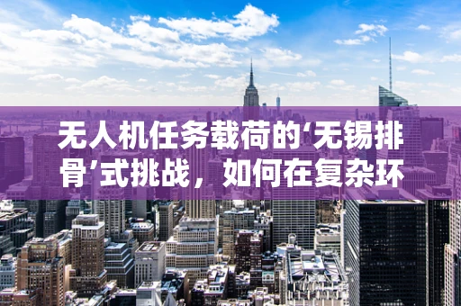 无人机任务载荷的‘无锡排骨’式挑战，如何在复杂环境中精准挂载？
