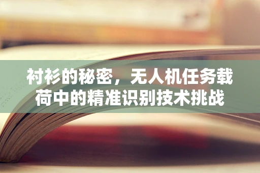 衬衫的秘密，无人机任务载荷中的精准识别技术挑战