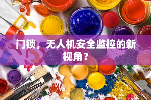 门锁，无人机安全监控的新视角？
