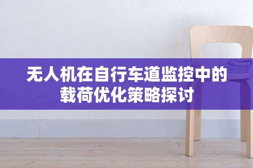 无人机在自行车道监控中的载荷优化策略探讨