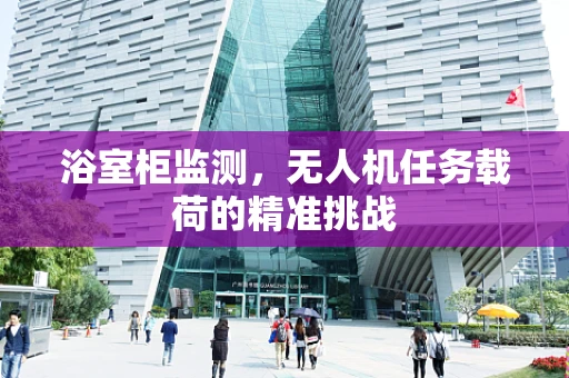 浴室柜监测，无人机任务载荷的精准挑战