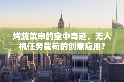 烤蔬菜串的空中奇迹，无人机任务载荷的创意应用？
