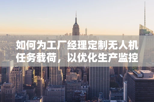 如何为工厂经理定制无人机任务载荷，以优化生产监控与效率？