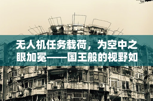 无人机任务载荷，为空中之眼加冕——国王般的视野如何实现？