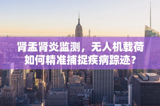 肾盂肾炎监测，无人机载荷如何精准捕捉疾病踪迹？