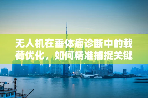 无人机在垂体瘤诊断中的载荷优化，如何精准捕捉关键影像？