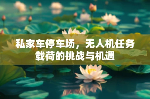 私家车停车场，无人机任务载荷的挑战与机遇