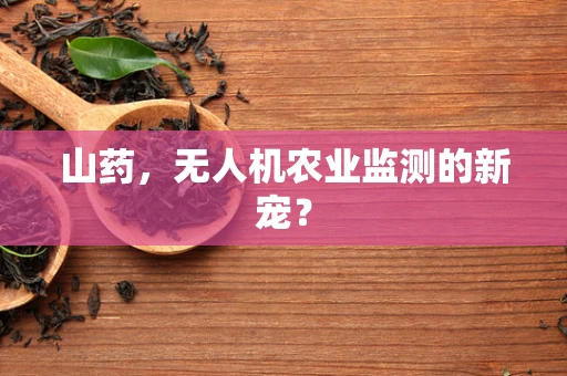 山药，无人机农业监测的新宠？